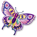 a butterfly